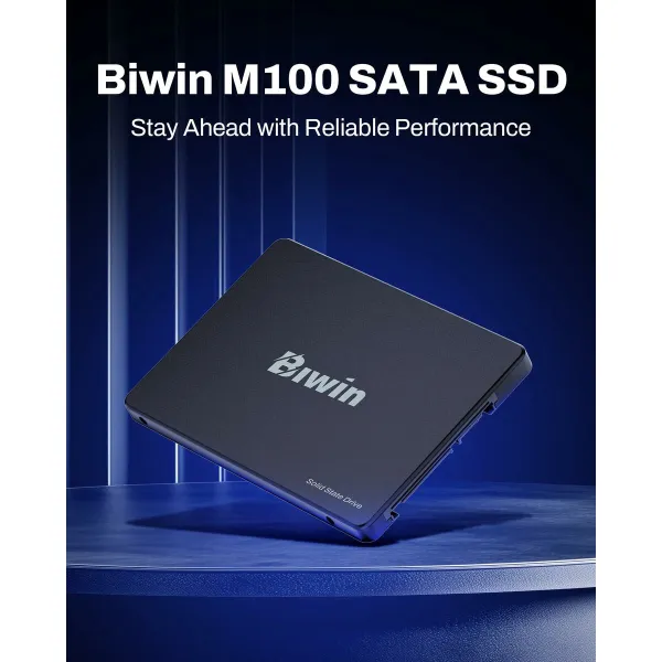 Hard Drive Biwin M100 256 GB SSD