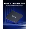 Kõvaketas Biwin M100 256 GB SSD