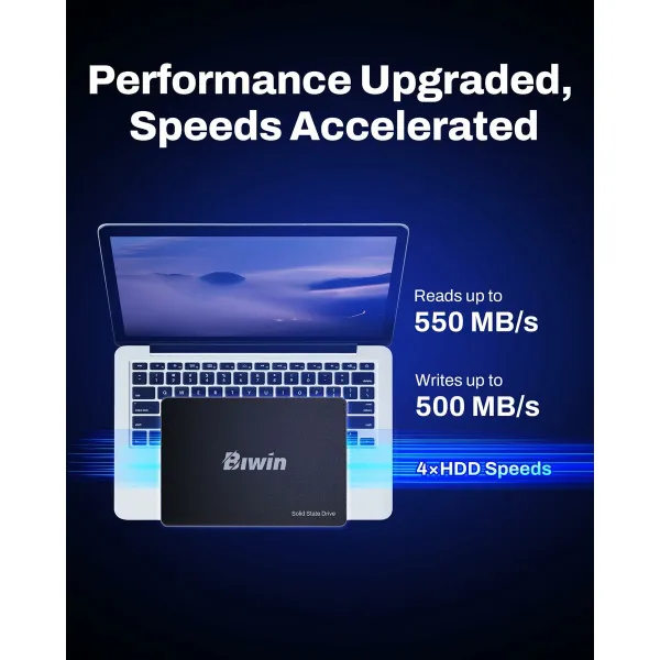 Kõvaketas Biwin M100 256 GB SSD