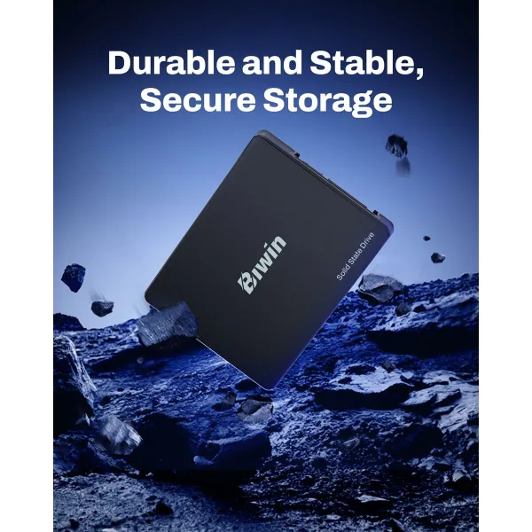 Kõvaketas Biwin M100 256 GB SSD