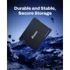 Hard Drive Biwin M100 256 GB SSD