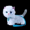 Настольная игра Bizak