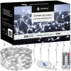 Новогодняя гирлянда с USB-программатором Springos CL4023 300 светодиодов холодный белый 3x3 м