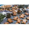 Christmas Lights Springos CL4025, 10 LED