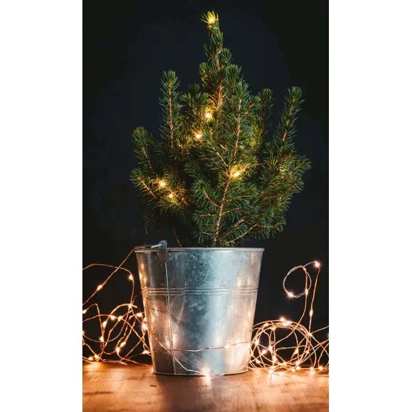 Ziemassvētku lampiņas Springos CL4025, 10 LED