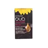 Garnier Olia Permanent Coloring 3,0 Dark Brown