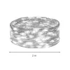 Jõulutuled Springos CL4100, 20 LED, traatvalgus, külm valge, patareitoide