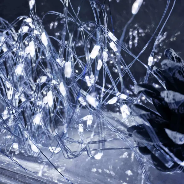 Jõulutuled Springos CL4100, 20 LED, traatvalgus, külm valge, patareitoide