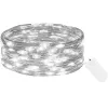 Jõulutuled Springos CL4100, 20 LED, traatvalgus, külm valge, patareitoide