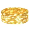 Kalėdinės girliandos Springos LED CL4102, 30 LED