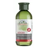 Corpore Champu Anticaida Cosmos Organic 300ml