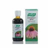 Vogel Echinaforce 100ml