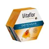 Vitaflor Jalea Real Defensas 20Viales 200ml