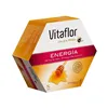 Vitaflor Jalea Real Energía 20viales 200ml