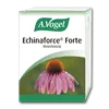 Vogel Echinaforce Forte 30 Comp