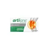 Pharmadiet Master Diet Artilane Pro 15 Vials