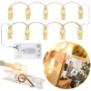 LED segtukai nuotraukoms Springos CL4131, 10 LED, šiltai balta