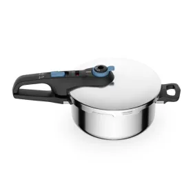Greitpuodis Tefal TRENDY+      4L Metalinis