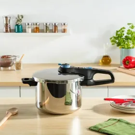Greitpuodis Tefal TRENDY+      4L Metalinis