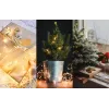 Christmas tree lights 100 Led 12 m