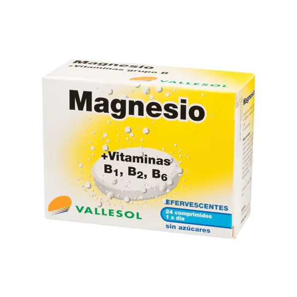 Vallesol Effervescent Magnesium B 24comp