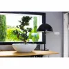 Taimepott EDA Ø 59 cm Valge Plastmass Ringjas
