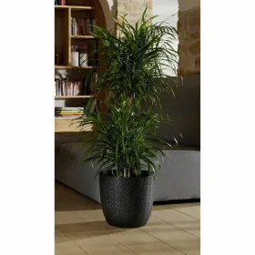 Taimepott EDA Opal Chape Must Ø 29,5 cm