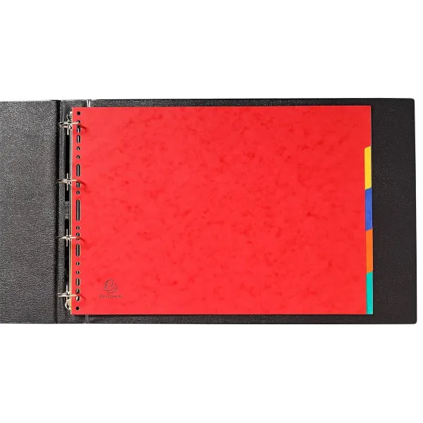 Seperators Exacompta Multicolour A3 (20 Units)