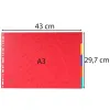 Seperators Exacompta Multicolour A3 (20 Units)