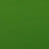 Crepe paper Canson Standard Green (10 Units)