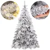 Caucasian snow fir Springos CT0124 180cm