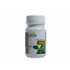 Sotya Boldo 500 Mg 100 Comp