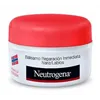 Neutrogena Bálsamo Regenerador Labios 15ml