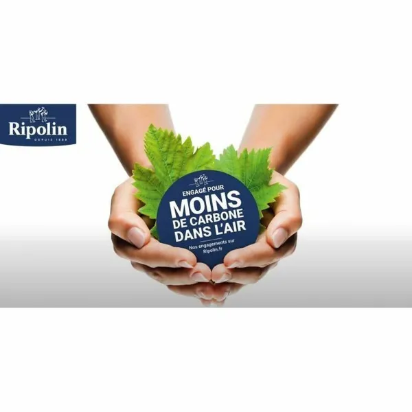Gruntinis Dažai Ripolin Parafinas 10 L
