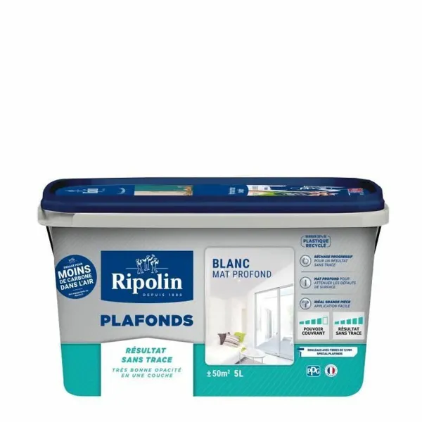 Gruntinis Dažai Ripolin Balta Parafinas 5 L