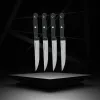 Knife Set Nirosta