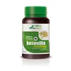 Mgdose Boswelia 1000 Mg 30 Comp