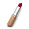 Couleur Caramel Matt Lipstick 120 Rouge Sombre