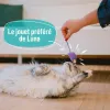 žaislas katėms Aimé Spalvotas 7 Dalys