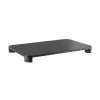 TV Mount T'NB MSTAND 20 kg
