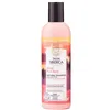 Natura Siberica Natural Shampoo Repair And Protection 270ml