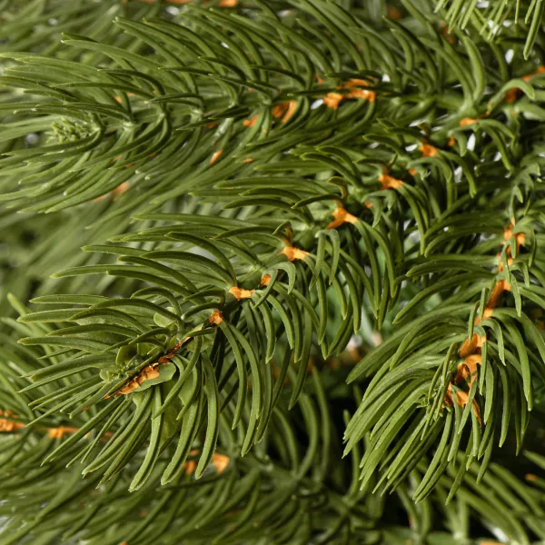 Joulukuusi Springos CT0144 220cm