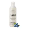 Noah Arandanos Anti-Amarillo Mascarilla Capilar 250ml