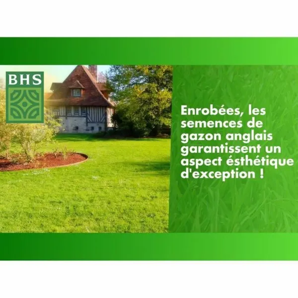 Seemned BHS Gazon Anglais 10 kg