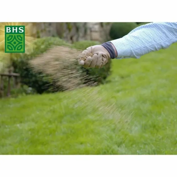 Seeds BHS 1 kg