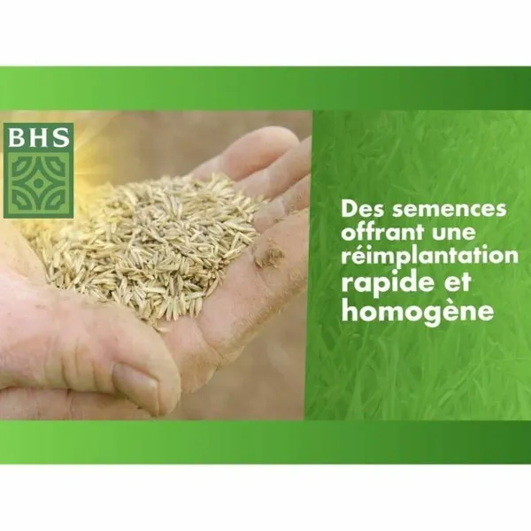 Augu pods BHS