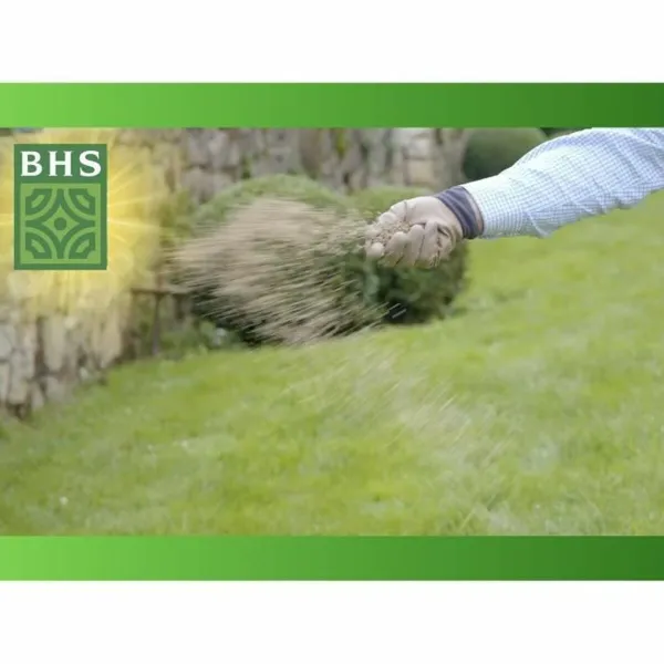 Seemned BHS