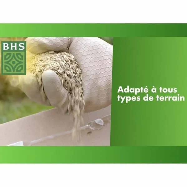 Семена BHS 1 kg