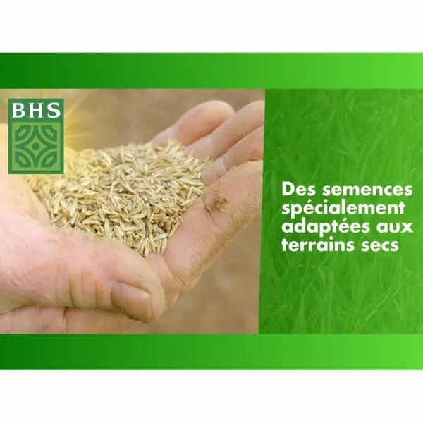 Sėklos BHS 3 Kg