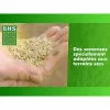 Seeds BHS 3 Kg